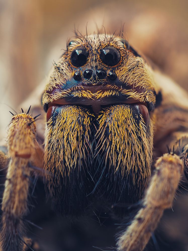 Photograph by Юрий Говорков