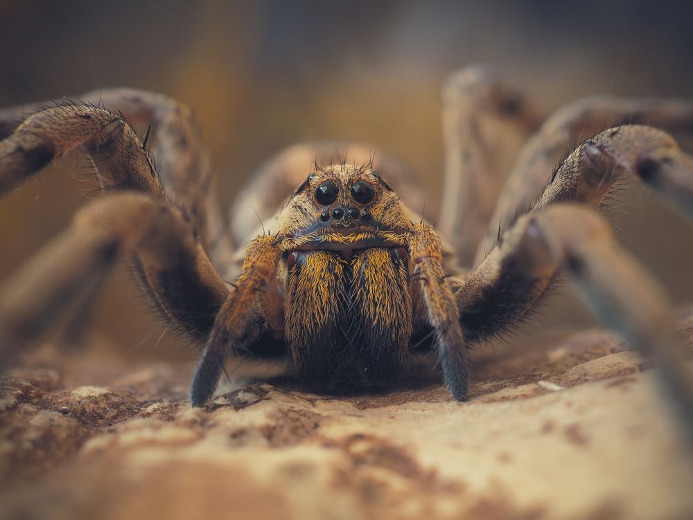 Photograph by Юрий Говорков