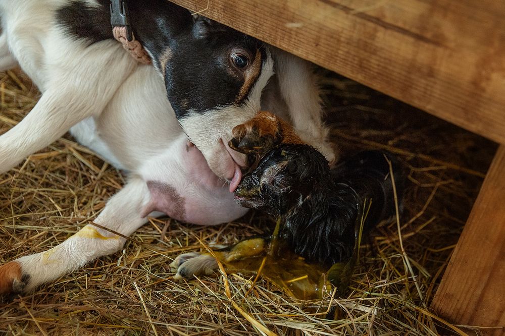 Photograph by Чистякова Валерия