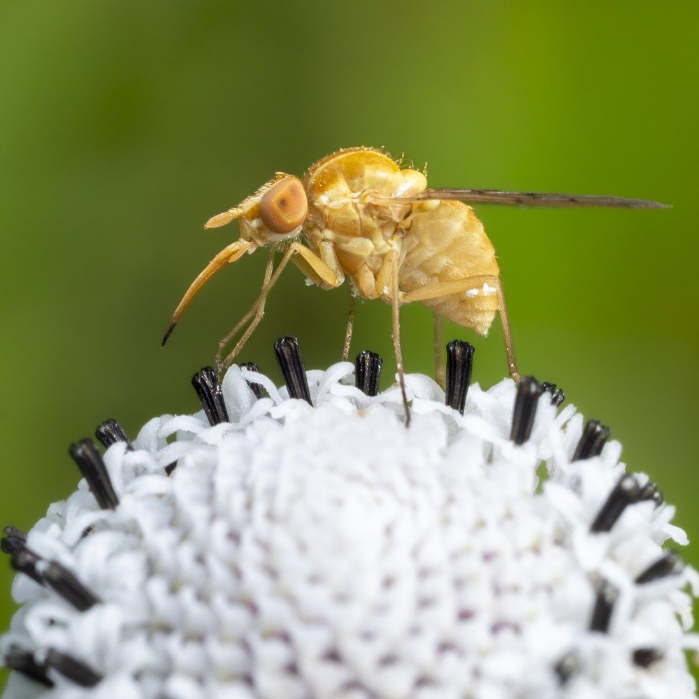 Photograph by Deryl Varela Cienfuegos