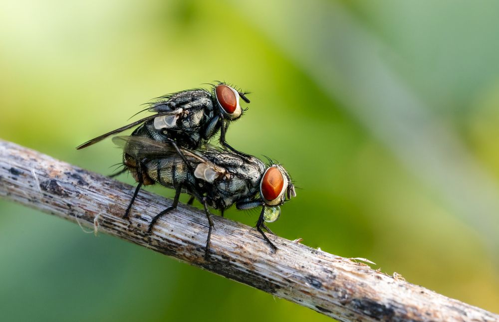 Photograph by Deryl Varela Cienfuegos
