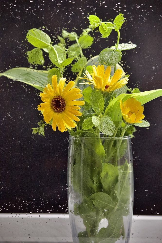 Photograph by Лариса Белашова