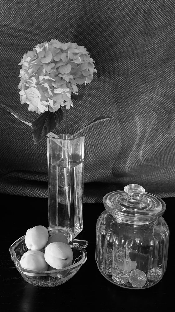 Фотография автора Elena Ku