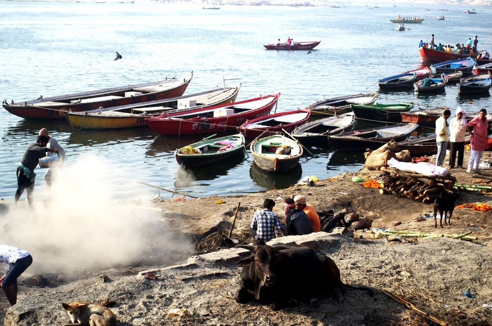 Photograph by sathya narayanan Rajan