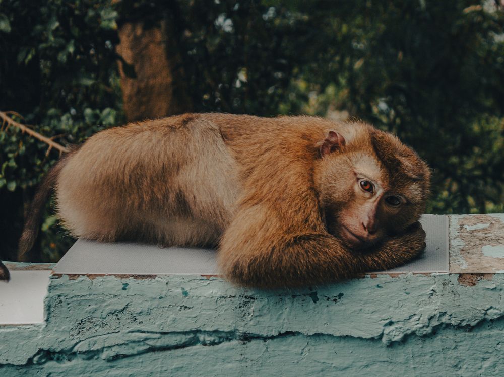 Фотография автора Таисия