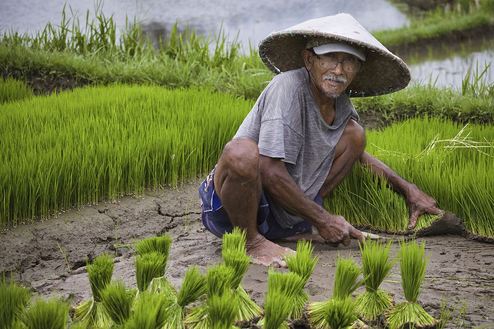 Photograph by Benoit Vanoverbeke