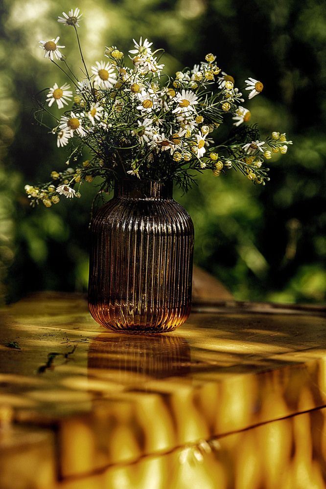 Photograph by Ольга Софронова