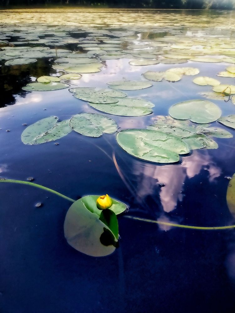 Photograph by Ольга Мартьянова