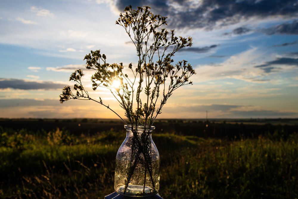 Photograph by YURIY TSARENKO