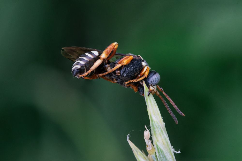 Photograph by Ольга Таланцева