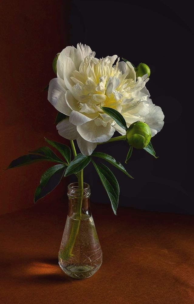 Photograph by Инга Сабанова