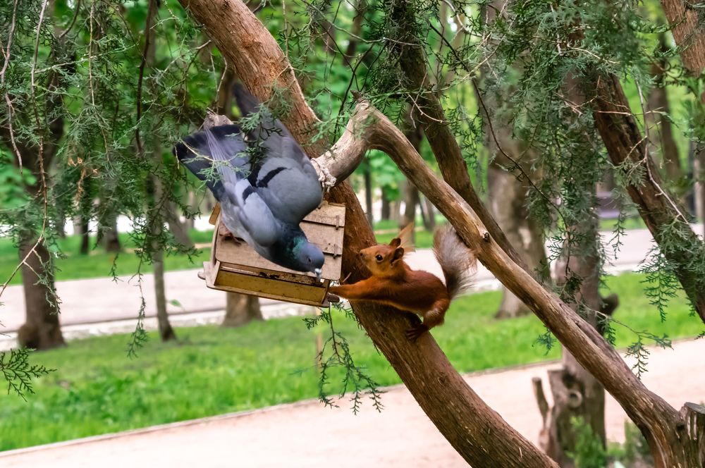 Photograph by Евгений Кузьмин