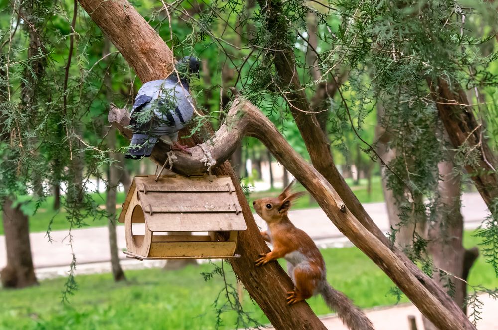 Photograph by Евгений Кузьмин