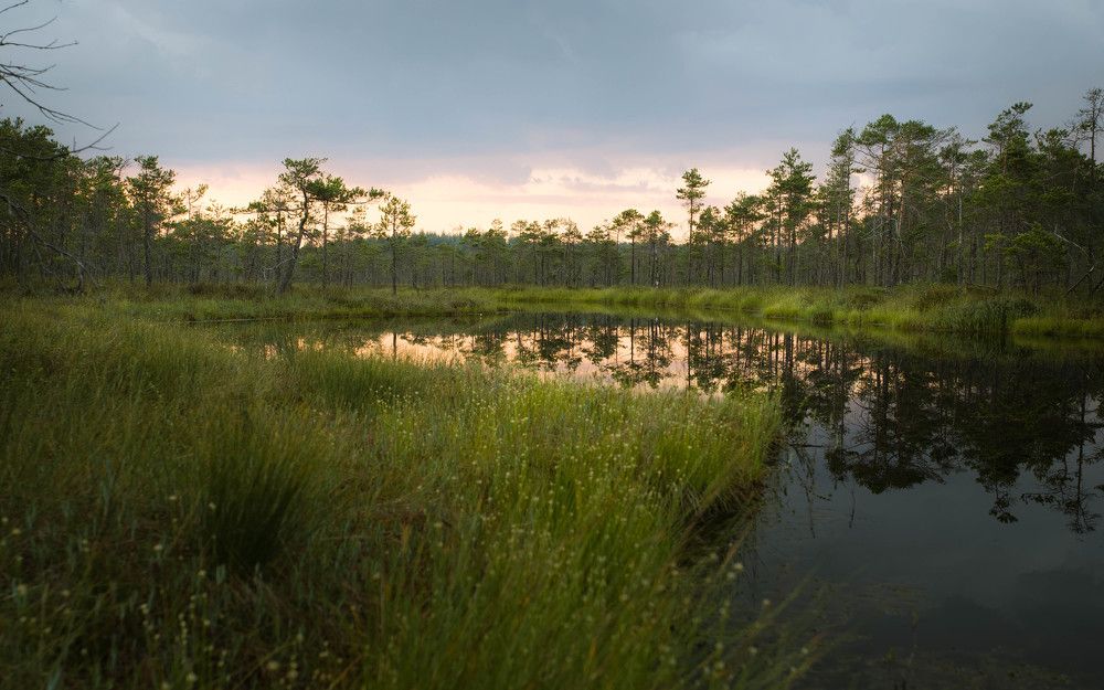 Photograph by Сергей Дивид