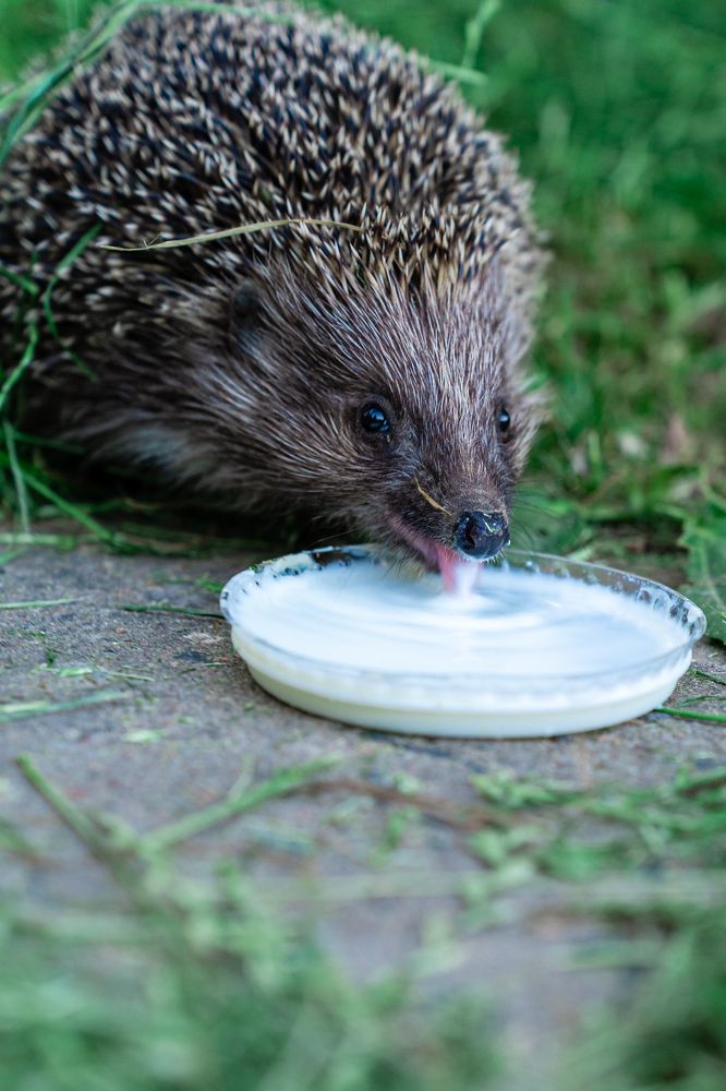 Photograph by Руслан Лазарев