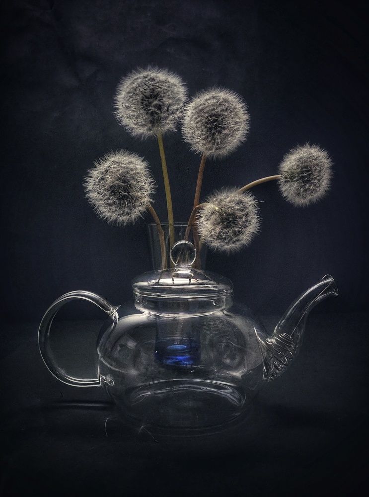 Photograph by Инга Сабанова