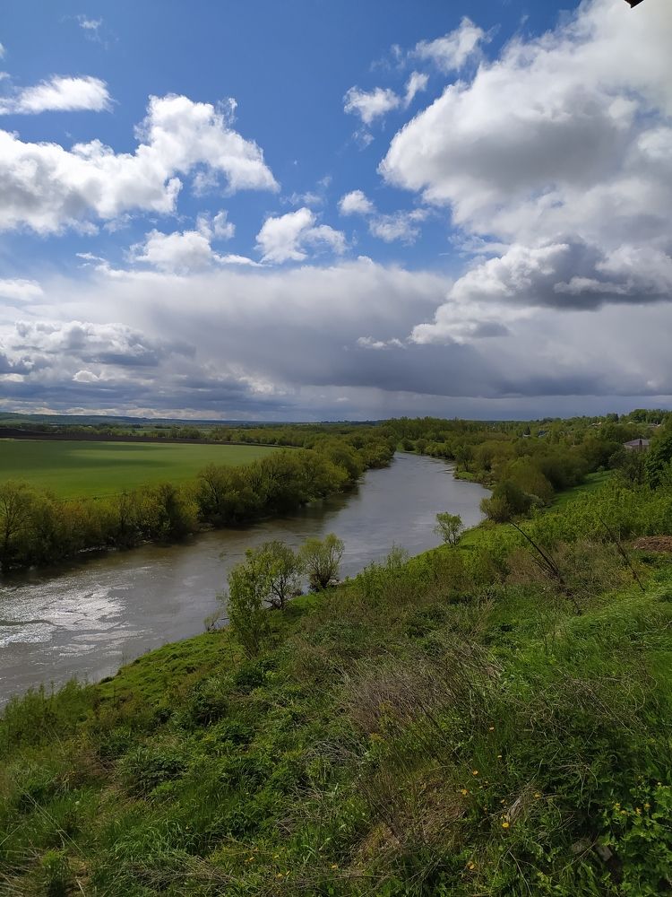 Фотография автора Дарья Петровская