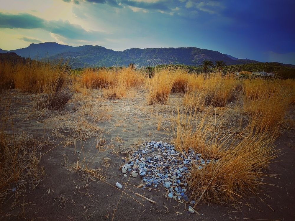 Photograph by Ekaterina Fadeeva