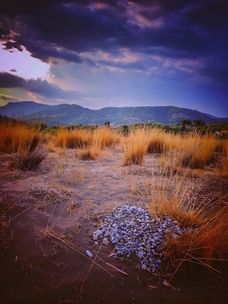 Photograph by Ekaterina Fadeeva