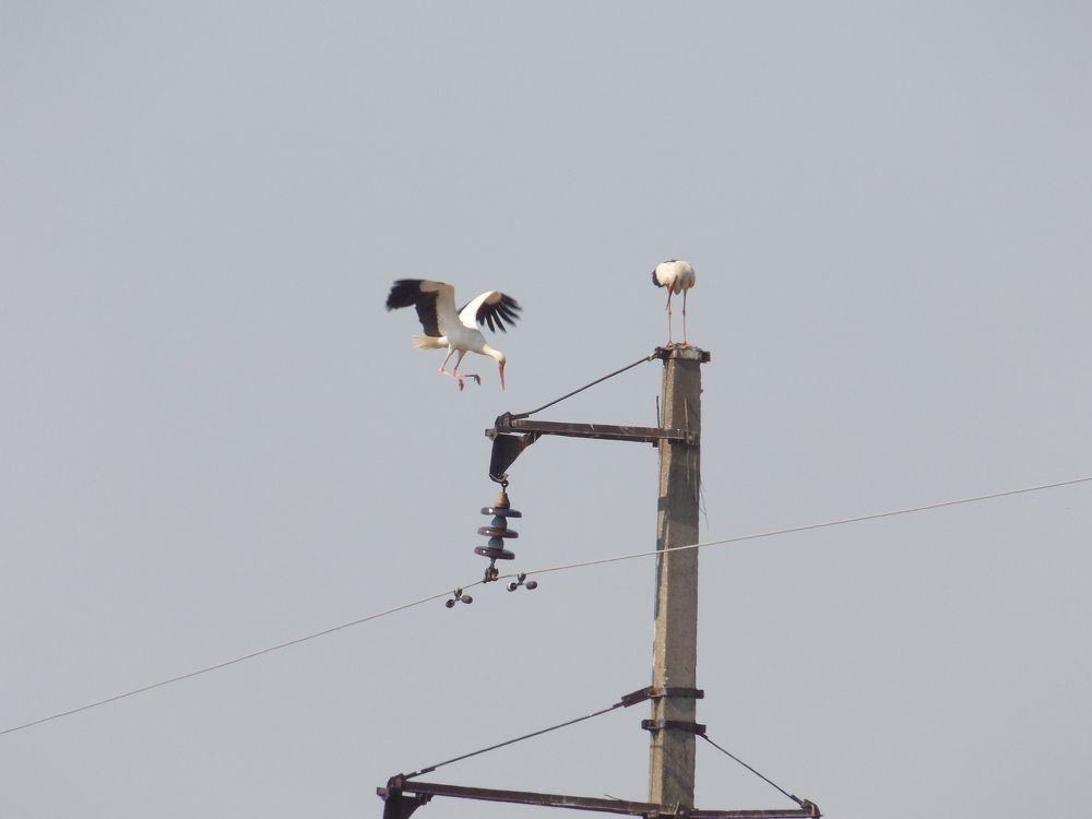 Photograph by Анастасия Кудина