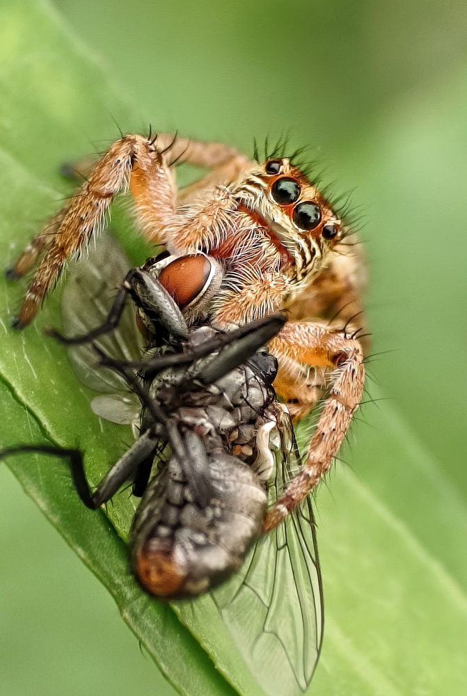 Photograph by Subhajit Jana