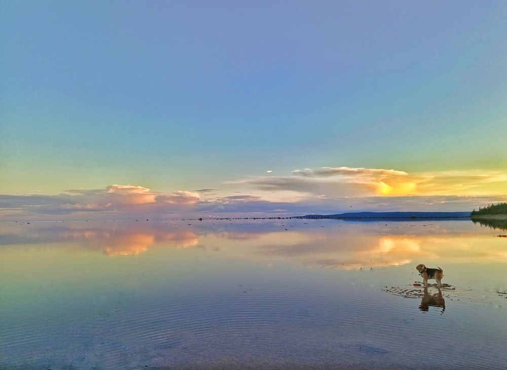 Photograph by Мария Воронцова