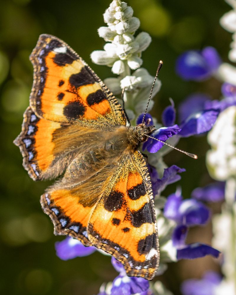 Photograph by Рина Серёгина