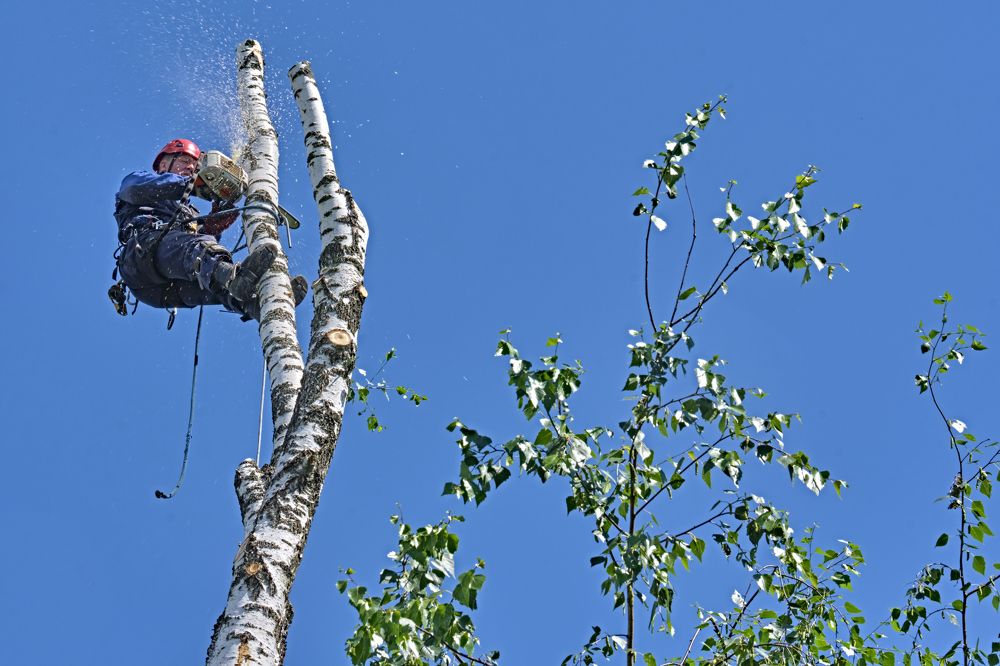 Photograph by Руслан Ибрагимов