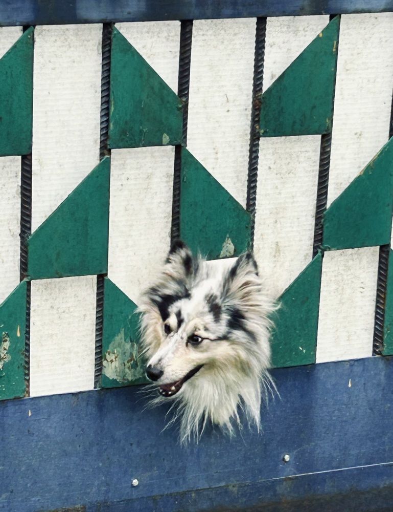 Photograph by Елена Маркова