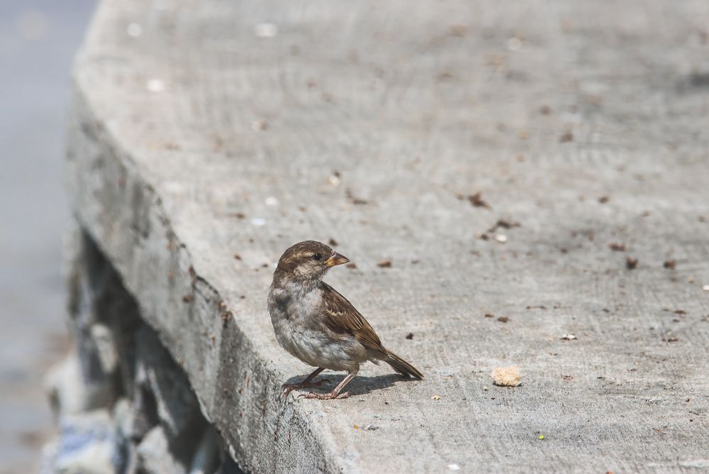 Photograph by Евгения Сенченко