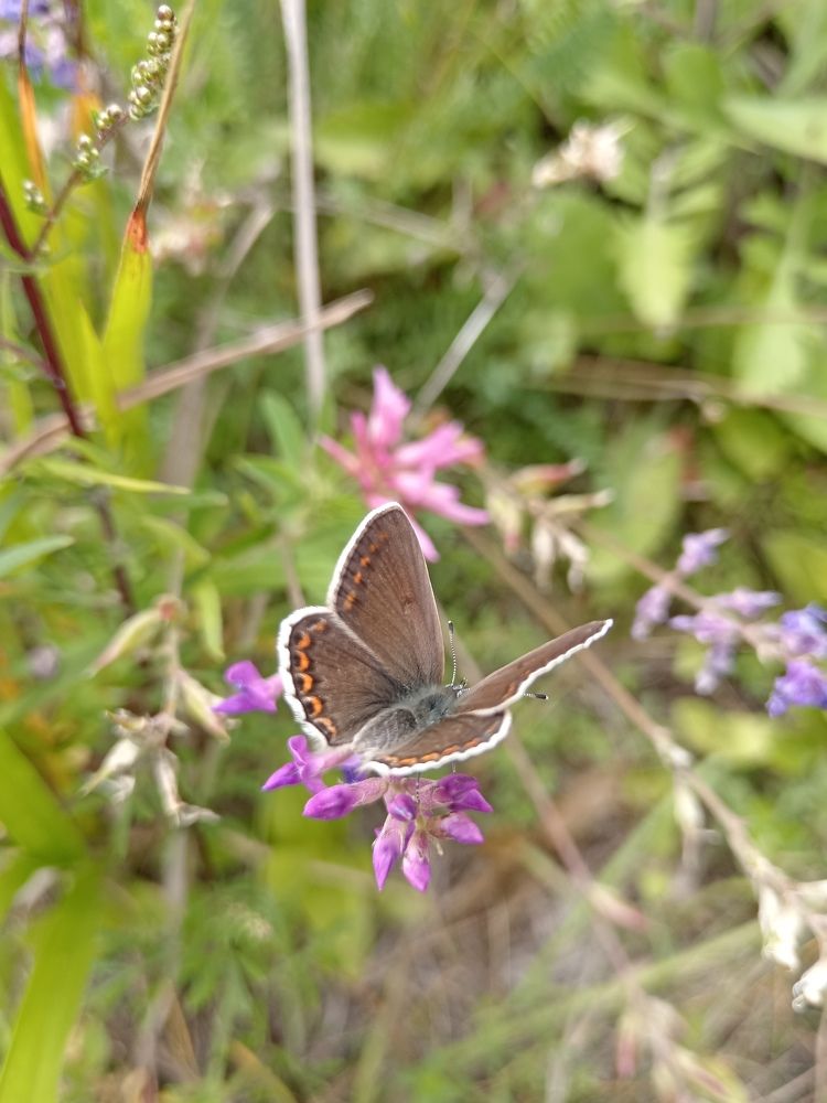 Photograph by Юлия Лихачева