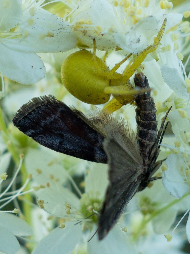 Photograph by Сергей Морозов