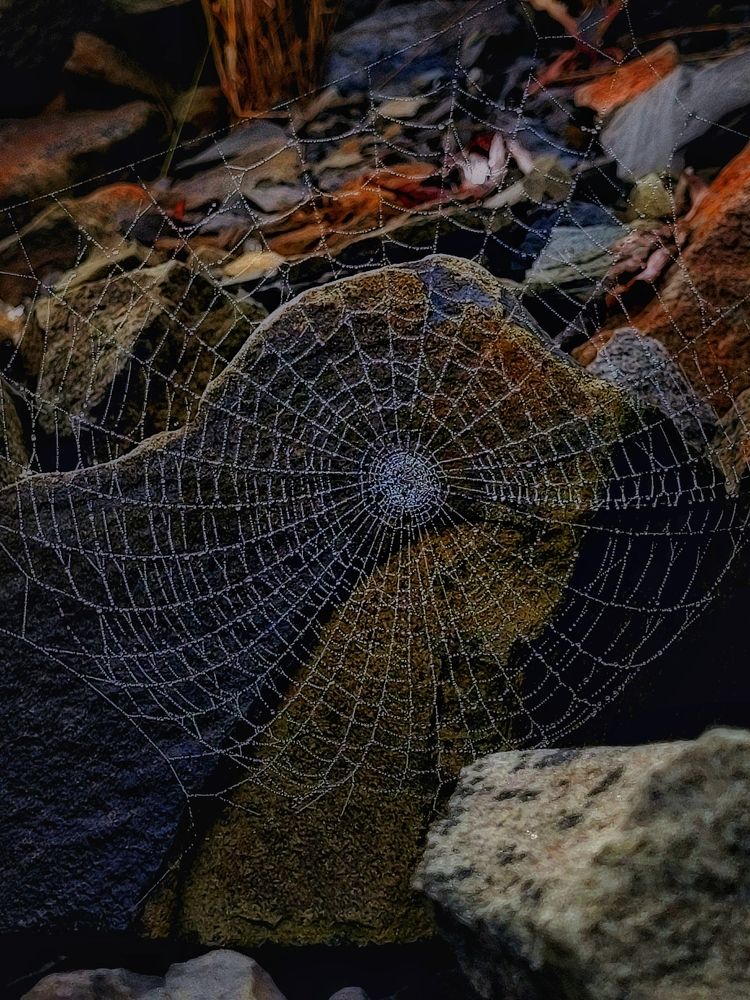 Photograph by Елена Иванова