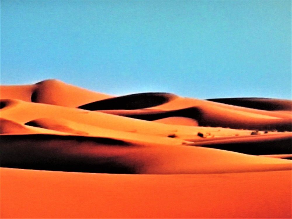 Photograph by Галина