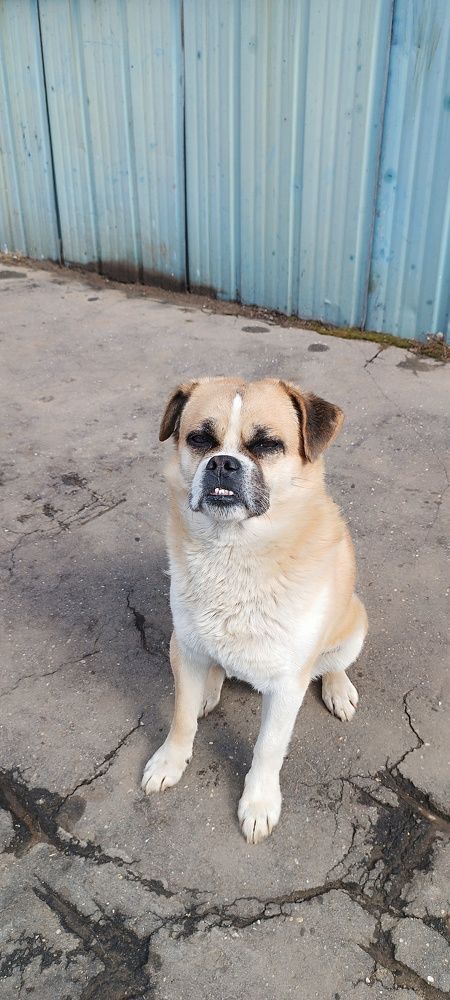 Photograph by Надежда Кнак