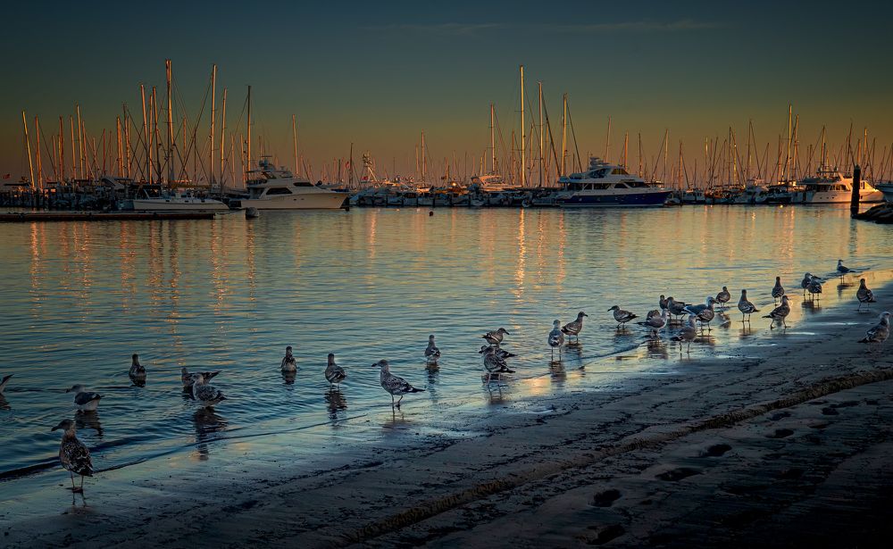 Photograph by Hanh P. T. Pham