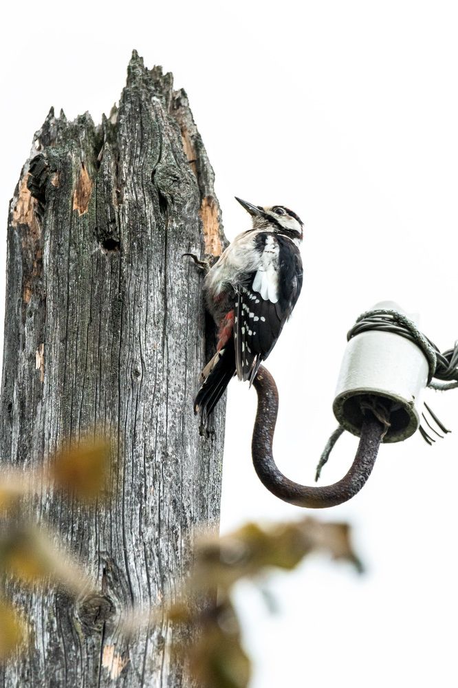 Photograph by Белевитин Михаил