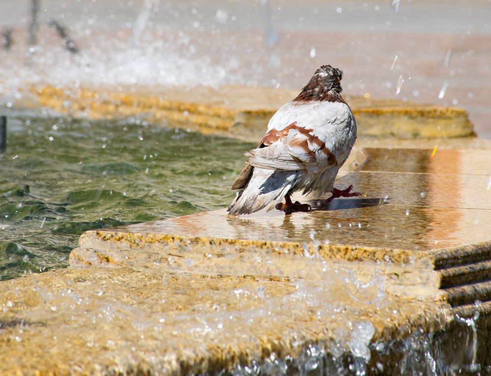 Фотография автора Olga Aleksandrovna