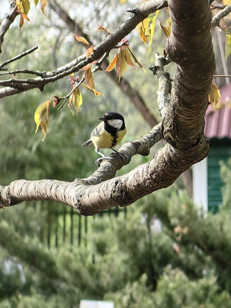 Photograph by OLGA MIKHNEVICH