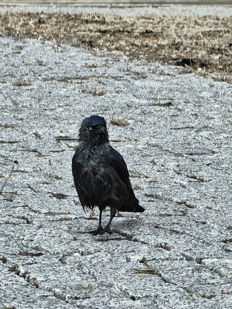 Photograph by OLGA MIKHNEVICH