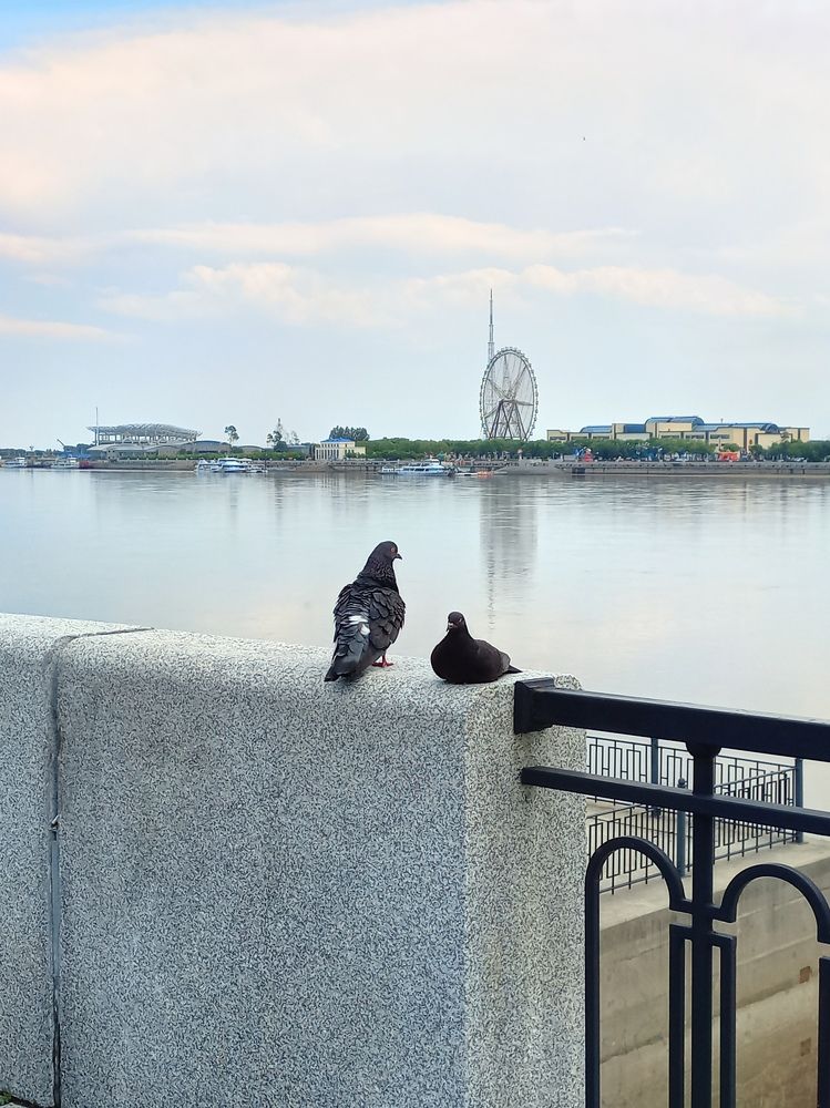 Photograph by OLGA MIKHNEVICH