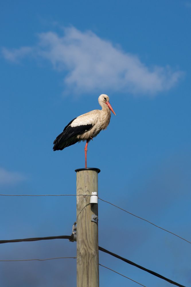 Photograph by Наталья Зверева