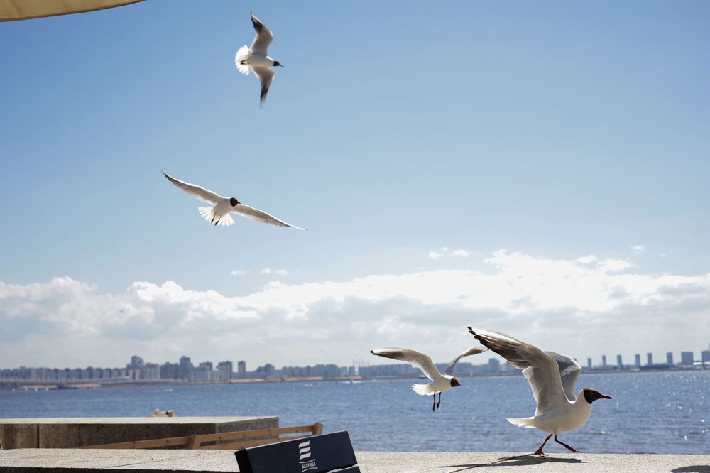 Photograph by Елена Шишкина