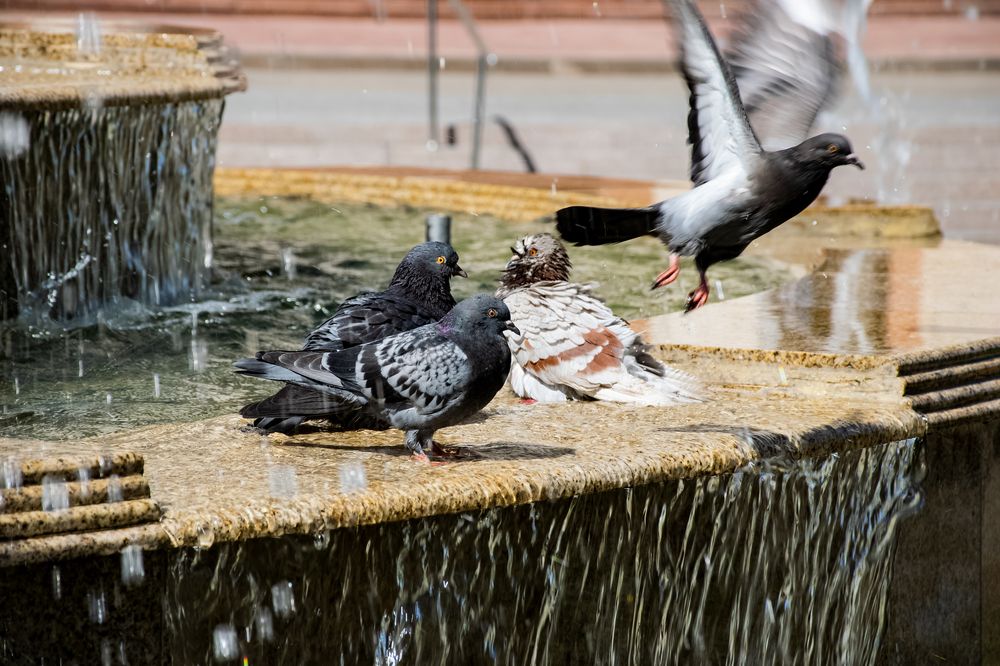 Фотография автора Olga Aleksandrovna