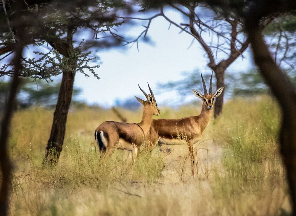 Фотография автора Pratik Chavan