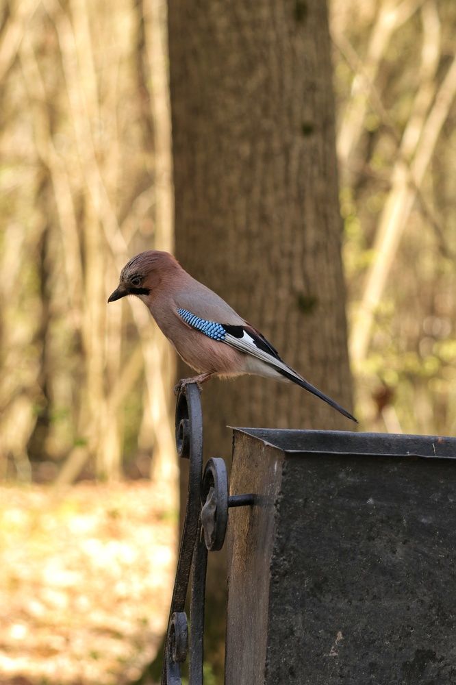 Photograph by Наталья Гайдукевич
