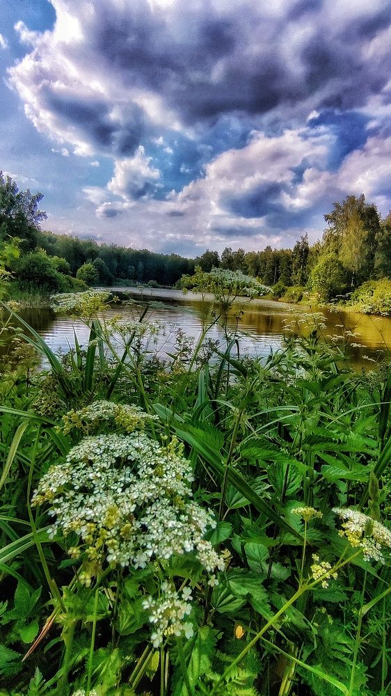 Photograph by Ирина Горбач