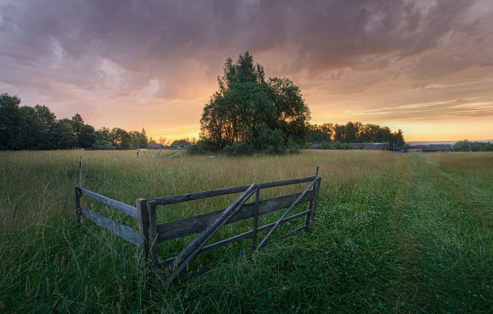 Photograph by Зеленько Дмитрий