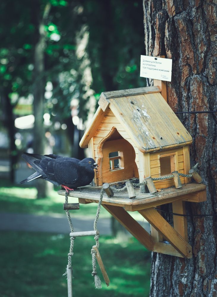 Photograph by Ольга Нецеля