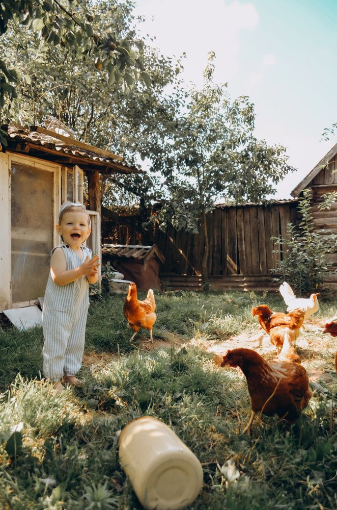 summer in the village